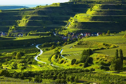 Auch am Kaiserstuhl wird die Kurtaxe bald automatisiert abgerechnet.