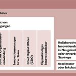 Organisationsoptionen für das Innovationsmanagement.