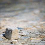 Stolperfallen bei der CAFM-Einführung umgehen.