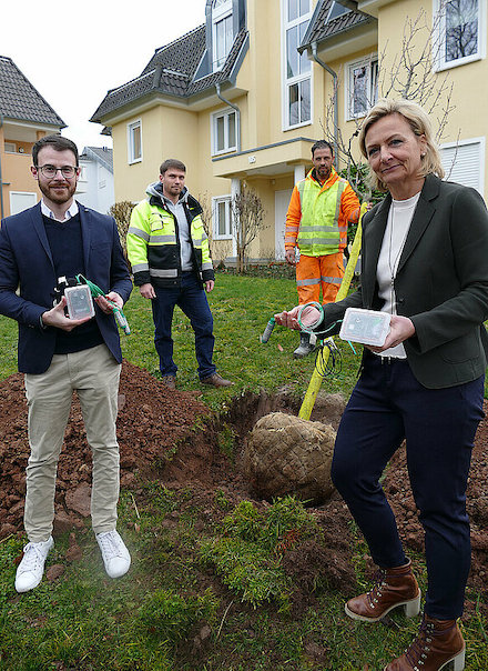 Pforzheim: Die ersten Bäume wurden mit Feuchtigkeits- und Temperatursensoren ausgestattet.