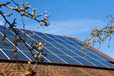 Das Solarkataster der Stadt Kaiserslautern erhielt ein Update: Es berücksichtigt bei seinen Berechnungen nun auch Verschattungen durch Bäume.