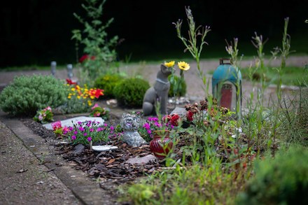 Gräber auf dem Heimtierfriedhof in Bremerhaven können jetzt online gebucht werden.