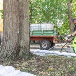 Ein Mann bewässert mit einem Gartenschlauch einen Straßenbaum