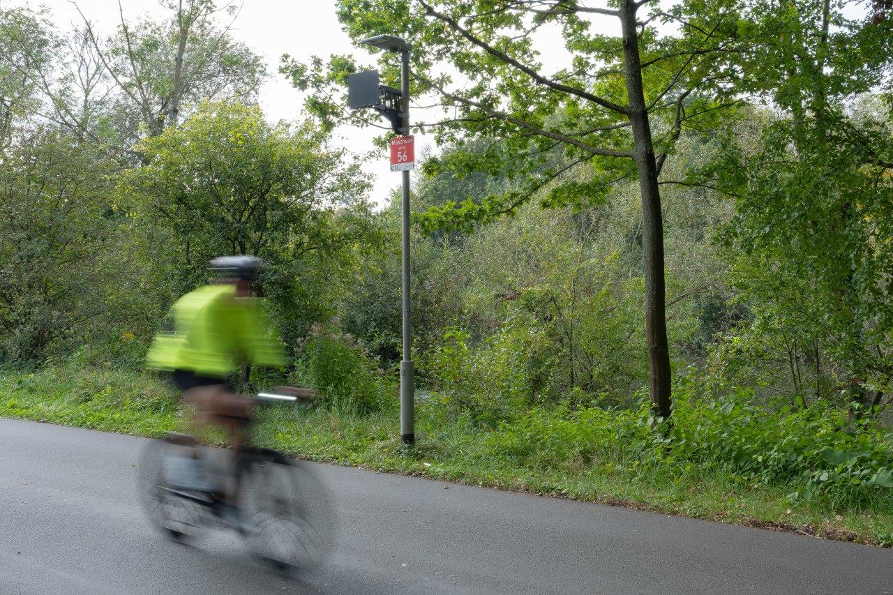 Das Bild zeigt einen Lichtmasten an einem Fahrradweg am Maschsee in Hannover.