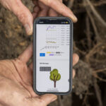 Zwei erdige Hände prsentieren ein Handy, auf dessen Screen Daten zur Bodenfeuchte gezeigt werden.