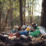 Plastikflaschen liegen auf einem Haufen in einem Wald auf dem Boden.