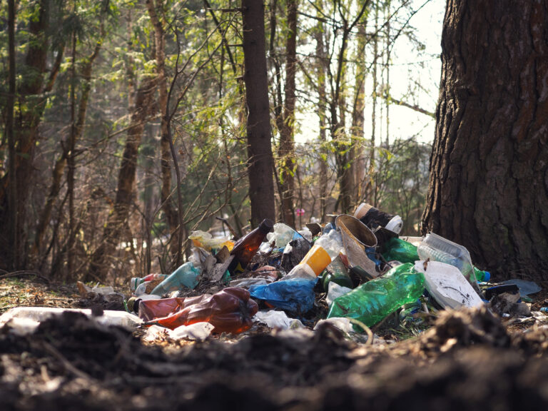 Plastikflaschen liegen auf einem Haufen in einem Wald auf dem Boden.